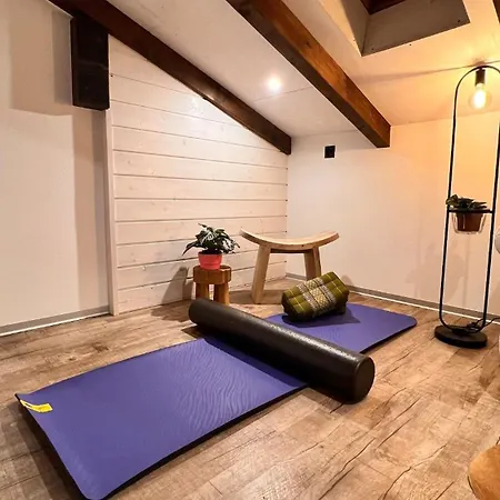 Cozy Alpine Attic