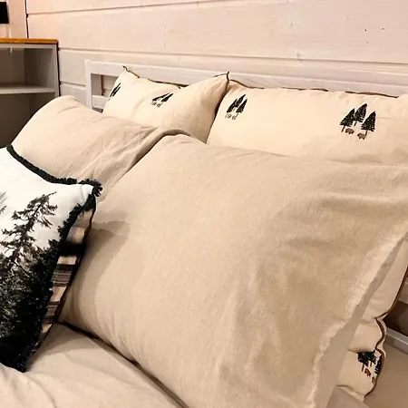 Apartment Cozy Alpine Attic *